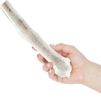 Split Elk Antler Dog Chews, 8 - 9.5 inch