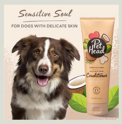 Sensitive Soul Gentle Formula Dog Conditioner, 8.4-fl oz bottle