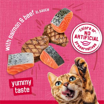 Prime Filets with Salmon & Beef in Sauce Canned Cat Food, 5.5-oz, case of 24
