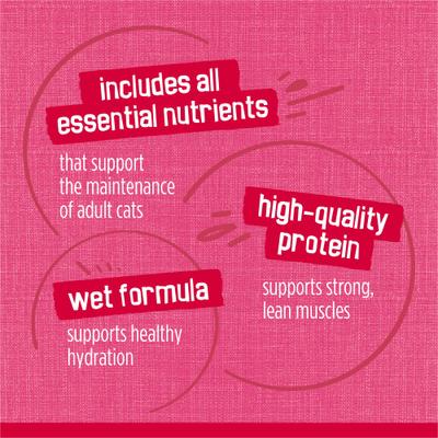 Prime Filets with Salmon & Beef in Sauce Canned Cat Food, 5.5-oz, case of 24