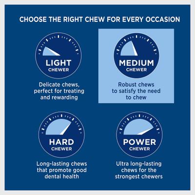 Odor-Free American 12" Bully Sticks Dog Treat