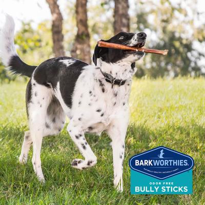 Odor-Free American 12" Bully Sticks Dog Treat