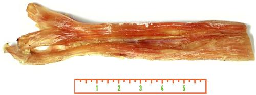 Jumbo Beef Tendon Dog Chews, 2 pack