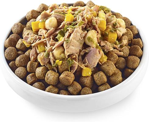 Taste Toppers Tuna Fillet with Pumpkin, Chickpeas & Kale Recipe in Broth Natural Wet Dog Food, 3-oz pouch, case of 12