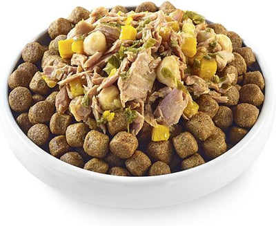 Taste Toppers Tuna Fillet with Pumpkin, Chickpeas & Kale Recipe in Broth Natural Wet Dog Food, 3-oz pouch, case of 12
