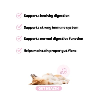 Bites Gut Health Supplement Pumpkin Flavored Soft Chews, 60 count