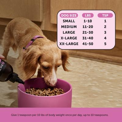 Bone Broth & Salmon Oil Turkey Flavored Liquid Multivitamin for Dogs, 12-fl oz bottle