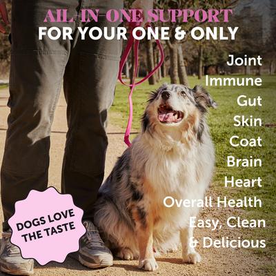 Multivitamínico líquido con sabor a pavo para perros, de caldo de hueso y aceite de salmón, botella de 355 ml