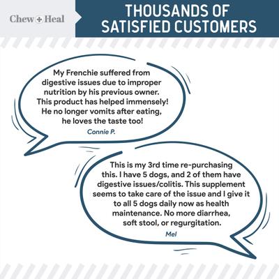 Digestive Enzymes & Probiotics Supplement for Dogs, 240 count