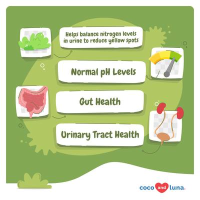 Coco and Luna Ever Green Grass Burn Spot Soft Chew Urinary Support Supplement for Dogs, 90 count