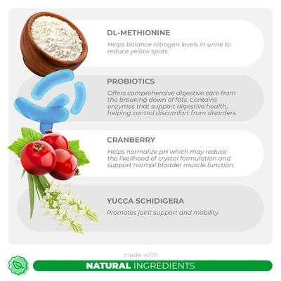 Coco and Luna Ever Green Grass Burn Spot Soft Chew Urinary Support Supplement for Dogs, 90 count