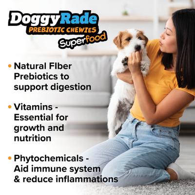 Prebiotic Superfood Peanut Butter, Banana, Chia Seed & Flax Seed Soft & Chewy Dog Treats, 3.53-oz pouch