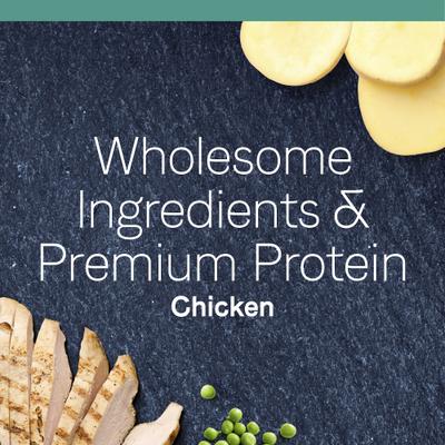 Grain-Free PURE Limited Ingredient Chicken Recipe Dry Cat Food, 5-lb bag