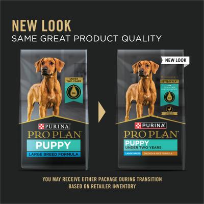 Paquete: alimento seco Purina Pro Plan para cachorros de razas grandes con pollo y arroz y probióticos + premios de entrenamiento suaves y masticables sin cereales con receta de carne de res American Journey