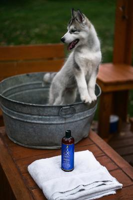 Dog & Cat Skin Irritation Shampoo & Conditioner, 16-fl oz bottle