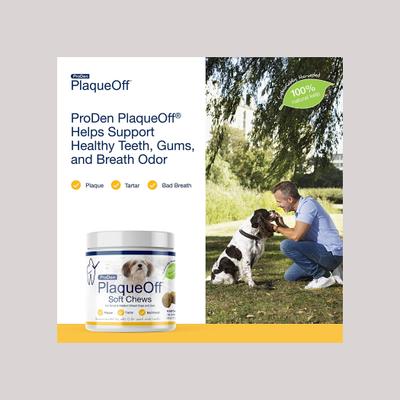 PlaqueOff Small/Med Breed Soft Chews Dog Treat, 45 count