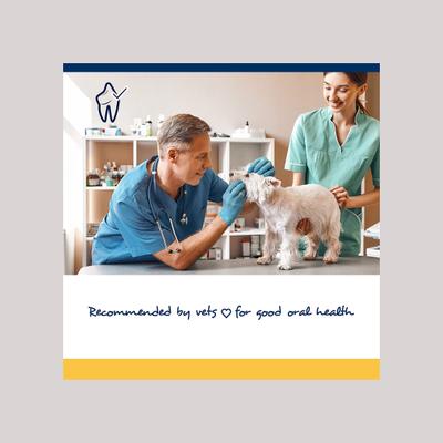 ProDen, PlaqueOff Soft Chews Dogs Small & Medium, A.N ProDen, 45 / 90 masticables.