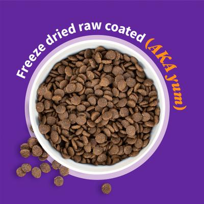 Elevate Healthy Grains Lamb Recipe Dry Dog Food, 20-lb bag