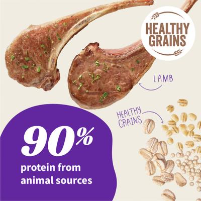 Elevate Healthy Grains Lamb Recipe Dry Dog Food, 20-lb bag