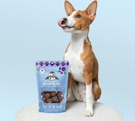 Blue Bliss Vegan Dog Treats, 6-oz bag