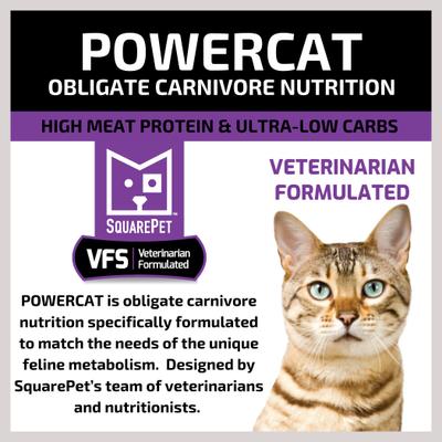 VFS PowerCat Turkey & Chicken High Protein Dry Cat Food, 4.4-lb bag