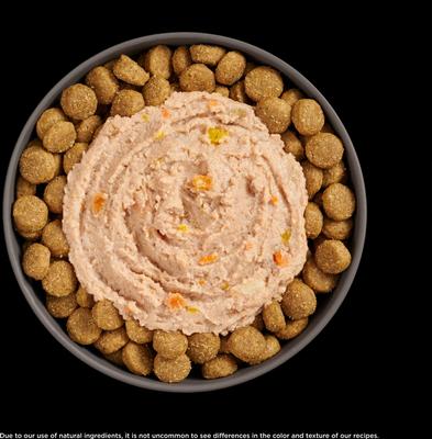 Booster Digestive Health Chicken & Duck Pate Wet Dog Food, 2.8-oz pouch, 12 count