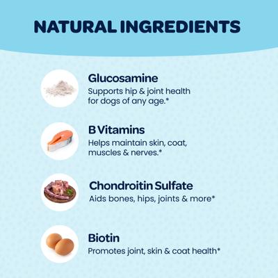 Suplemento saludable 12 en 1 para perros, 90 unidades