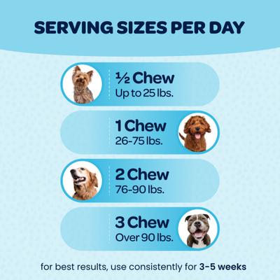 Suplemento saludable 12 en 1 para perros, 90 unidades