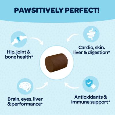 Suplemento saludable 12 en 1 para perros, 90 unidades