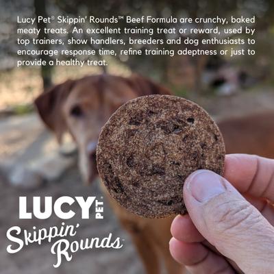 Skippin' Rounds Pea-Free Beef Formula Crunchy Dog Treats, 8-oz bag