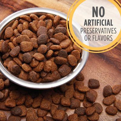 Bundle: Iams ProActive Health Smart Puppy Large Breed Dry Food, 30.6-lb bag + American Journey Beef Recipe Grain-Free Soft & Chewy Training Bits Dog Treats