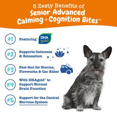 Senior Advanced Calming and Cognition Bites, Suplemento Calmante y Cognitivo para Perros Senior, sabor Pollo (compostura suave). 90 chews