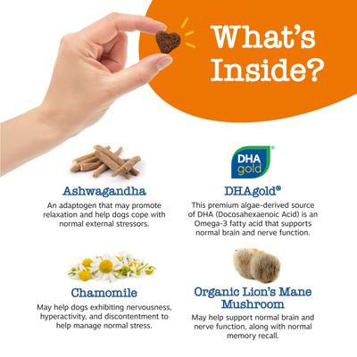 Senior Advanced Calming + Cognition Bites Chicken Flavor Soft Chews Composure Supplement for Dogs, 90 count