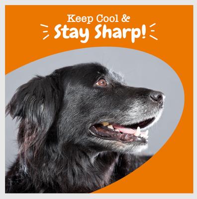 Senior Advanced Calming + Cognition Bites Chicken Flavor Soft Chews Composure Supplement for Dogs, 90 count