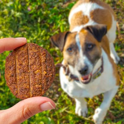 Wag More Bark Less Sliders BBQ Chicken Recipe Grain-Free Soft & Chewy Dog Treats, 8-oz bag