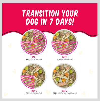 Best Fido Friend Fun Size Meals Picky Pooch Picnic Variety Pack Wet Dog Food, 2.75-oz cup, case of 8