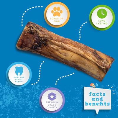 Roasted Beef Marrow 6-in Bone Dog Treats, 1 count