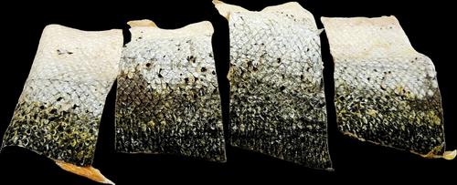 All-Natural Salmon Jerky Brittle & Skins Variety Pack Freeze-Dried Dog Treats, 6-oz bag, 6-oz bag