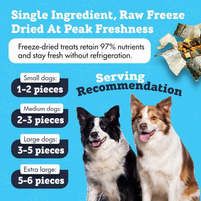 All-Natural Salmon Jerky Brittle & Skins Variety Pack Freeze-Dried Dog Treats, 6-oz bag, 6-oz bag
