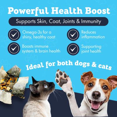 All-Natural Salmon Jerky Brittle & Skins Variety Pack Freeze-Dried Dog Treats, 6-oz bag, 6-oz bag