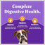 Holistic Complete Digestive Health Chicken & Brown Rice Dog Food Recipe Adult Dry Dog Food, 10-lb bag