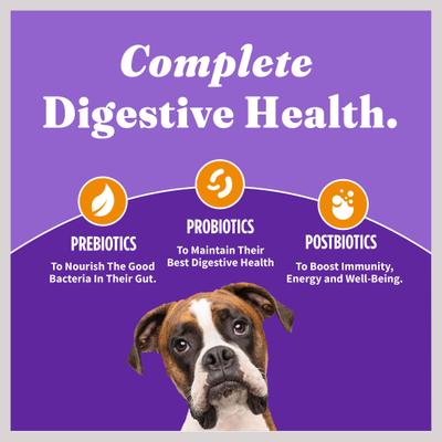 Holistic Complete Digestive Health Chicken & Brown Rice Dog Food Recipe Adult Dry Dog Food, 10-lb bag