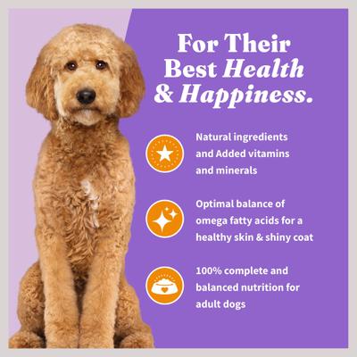 Holistic Complete Digestive Health Chicken & Brown Rice Dog Food Recipe Adult Dry Dog Food, 10-lb bag