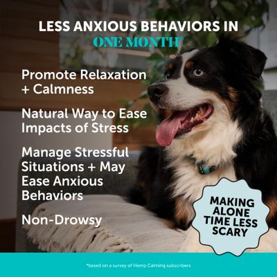 Hemp Calming Beef Flavored Calming & Anxiety Chews Supplement for Dogs, 90 count