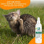 Medicated Itch Relief Spray for Dogs & Cats, 8-fl oz bottle