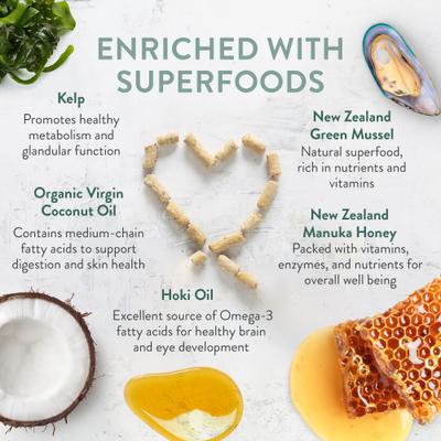 Woof Chicken Recipe Grain-Free Freeze-Dried Dog Treats, 1.76-oz bag