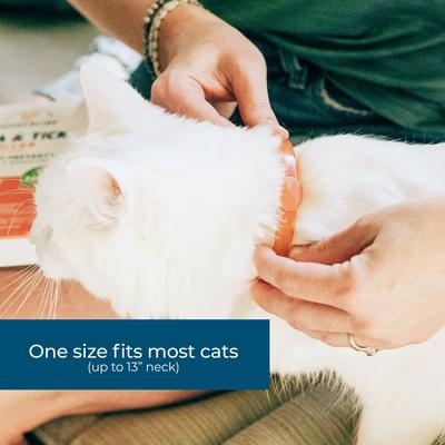 Natural Flea, Tick & Mosquito Repellent Cat Collar, Peppermint
