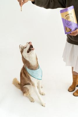 Berry Boost Bones Crunchy Dog Treats, 4-oz bag