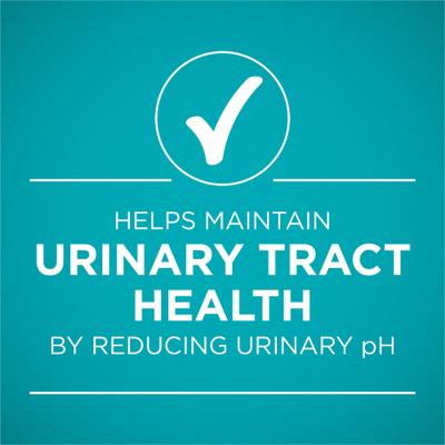 Urinary Tract Health Beef & Liver Recipe Wet Cat Food, 3-oz can, case of 24