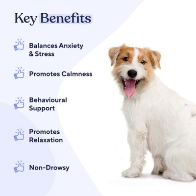 Calming Turkey Flavor Chews Dog Supplement, 60 count